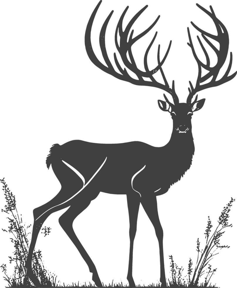 chasse silhouette cerf vecteur