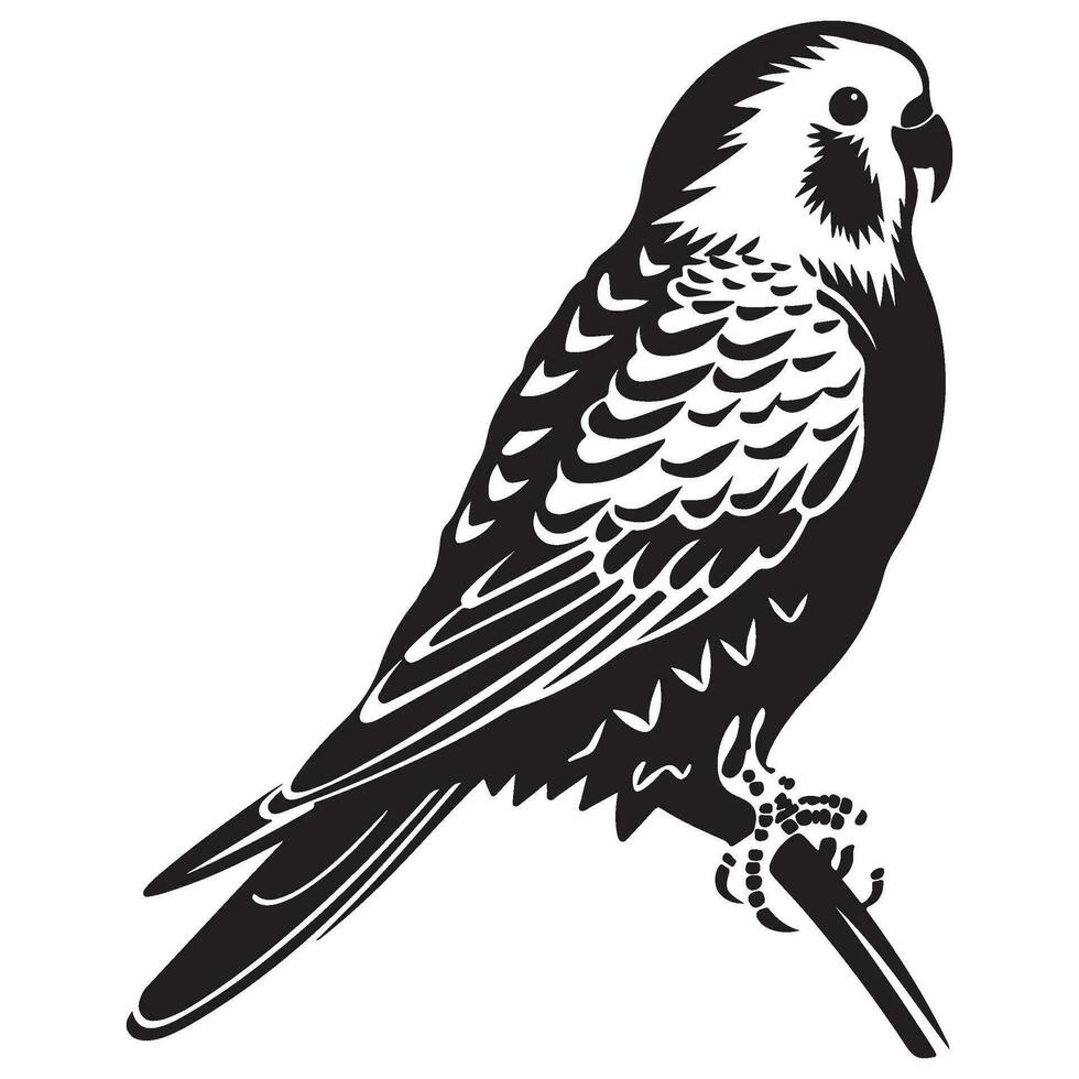 perruche silhouette, perruche mascotte logo, perruche noir et blanc animal symbole conception, oiseau icône. vecteur