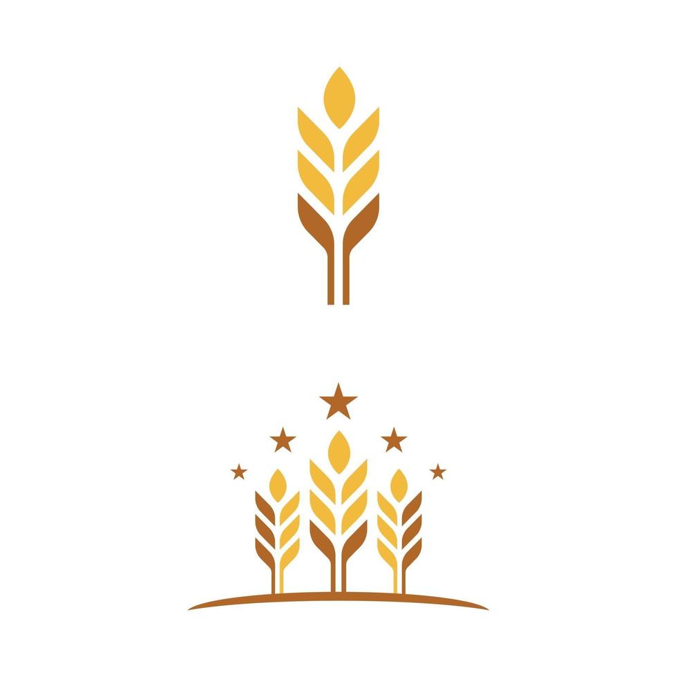 conception d'icône de vecteur de blé agriculture