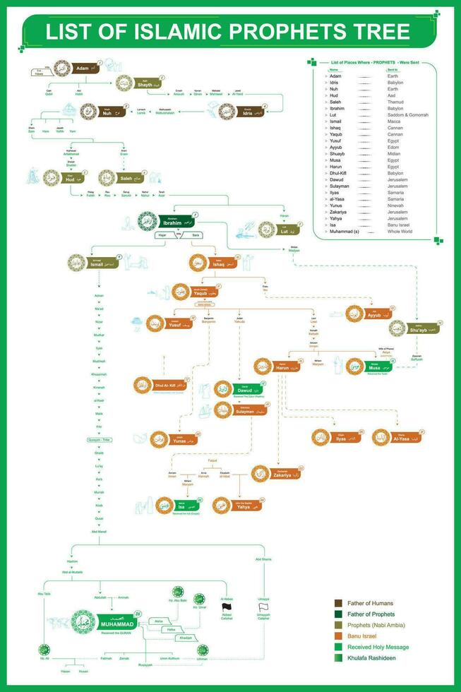 liste de islamique prophètes arbre vecteur