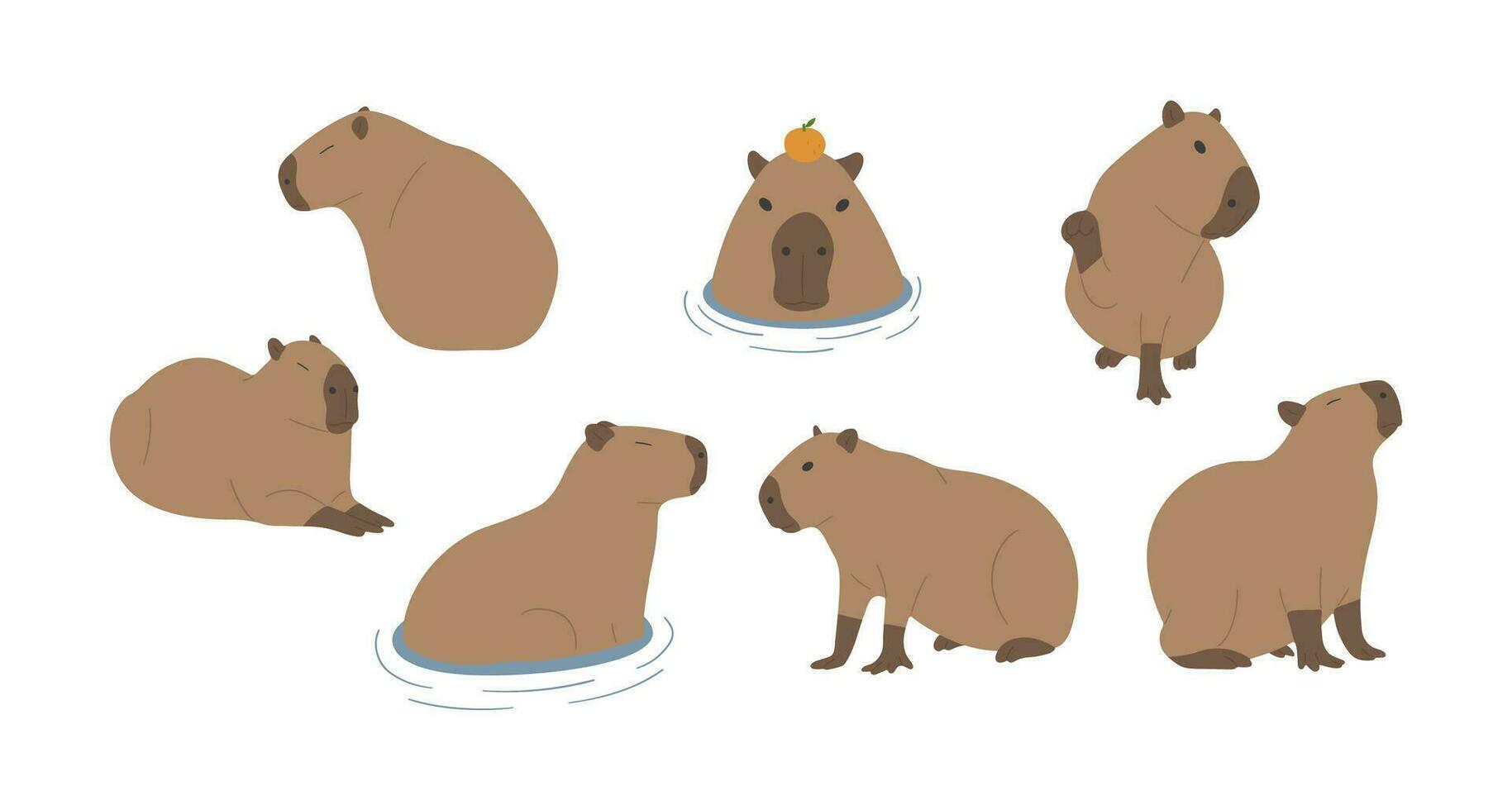 capybara groupe vecteur