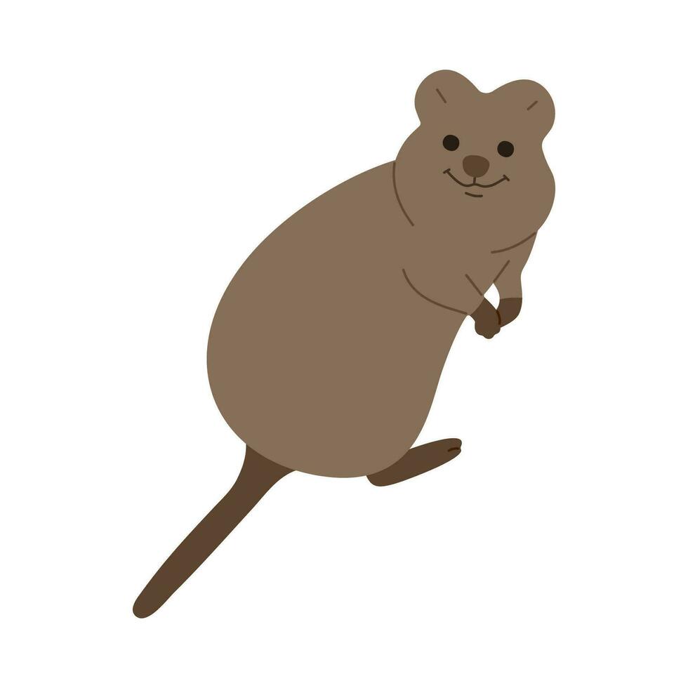 quokka Célibataire mignonne vecteur