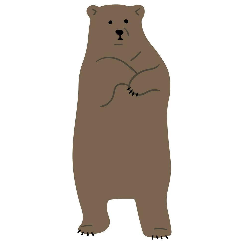 grisonnant ours Célibataire vecteur
