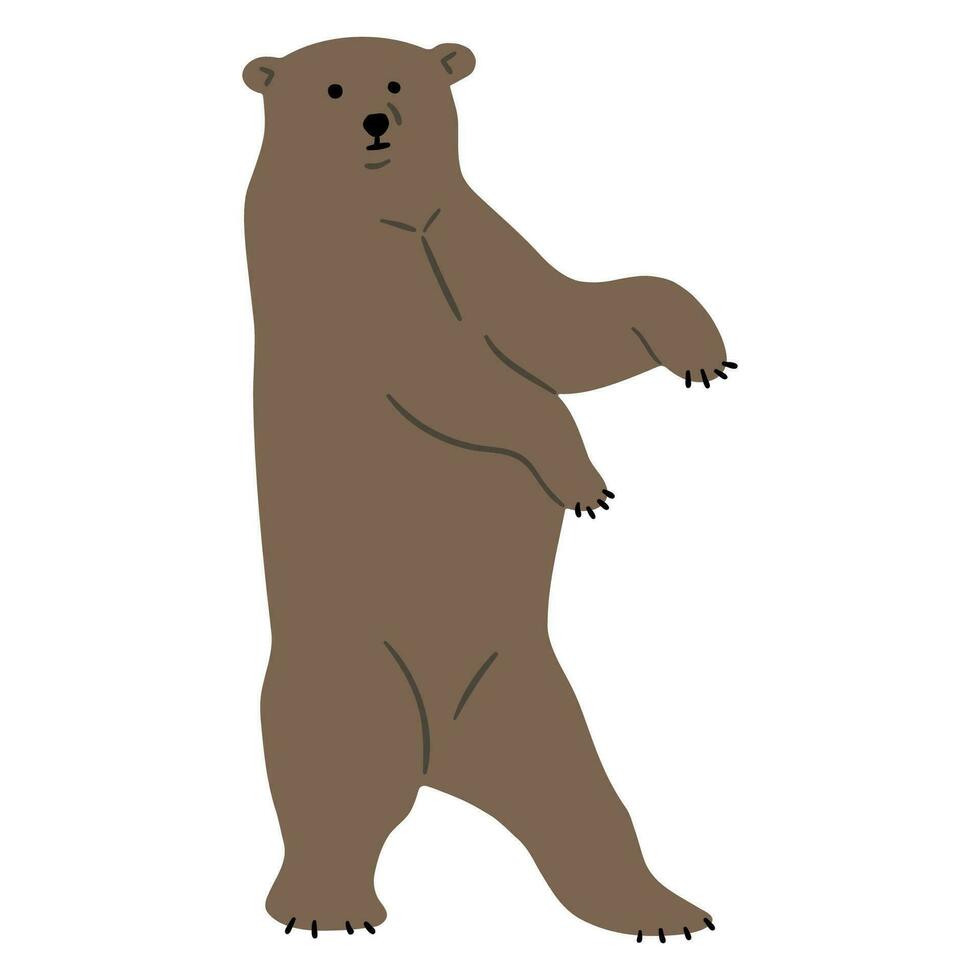 grisonnant ours Célibataire vecteur