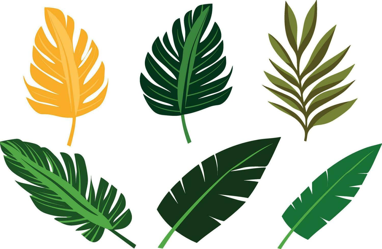 tropical feuilles ensemble vecteur illustration