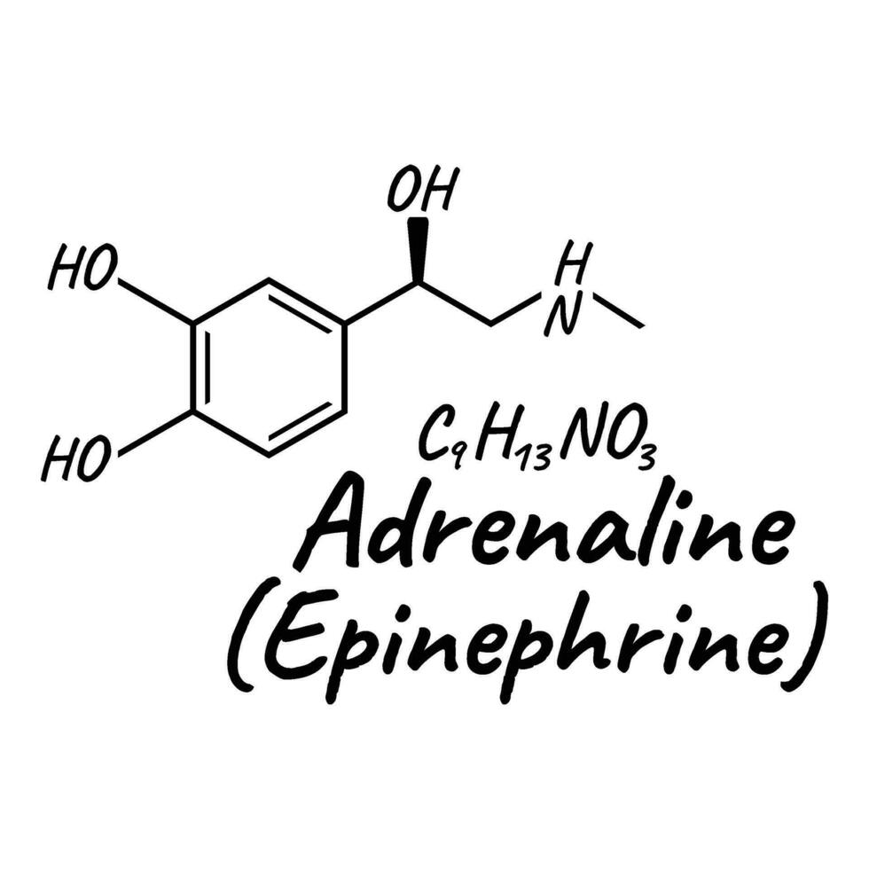 Humain hormone adrénaline, épinéphrine concept chimique squelettique formule icône étiqueter, texte Police de caractère vecteur illustration, isolé sur blanche.