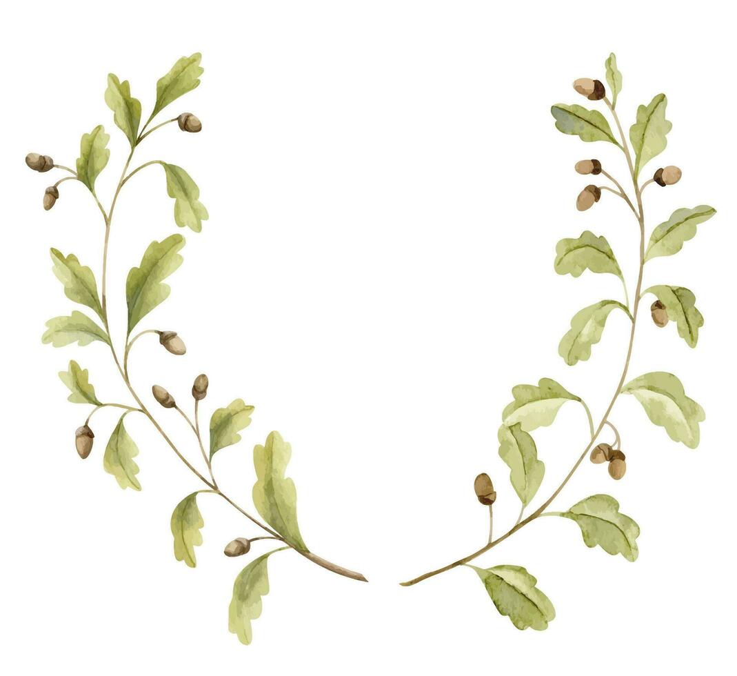 branches de chêne arbre avec vert feuilles et glands. main tiré aquarelle ensemble de des illustrations de forêt plante sur blanc isolé Contexte. botanique dessin pour salutation cartes ou mariage invitations vecteur