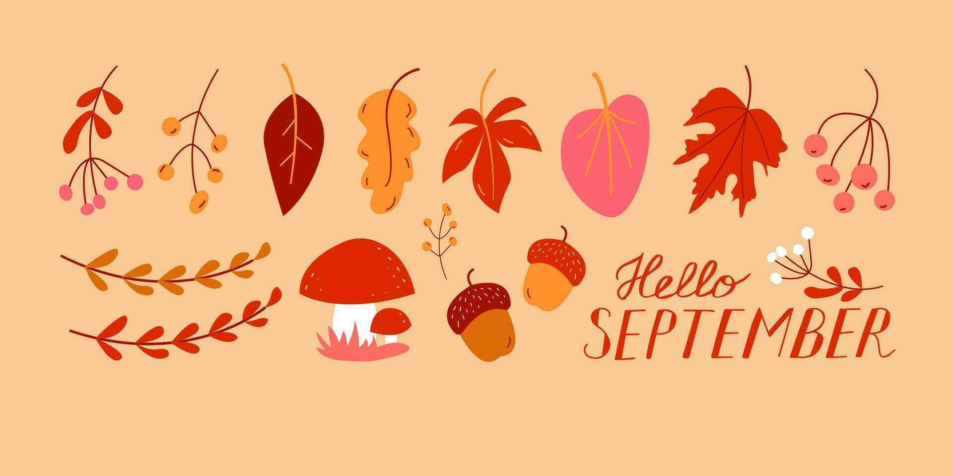 Bonjour septembre. septembre mois vecteur avec feuilles, baies, gland et champignons. décoration l'automne texte main caractères.