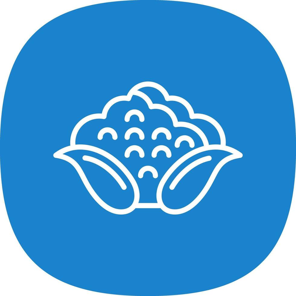 conception d'icône de vecteur de chou-fleur
