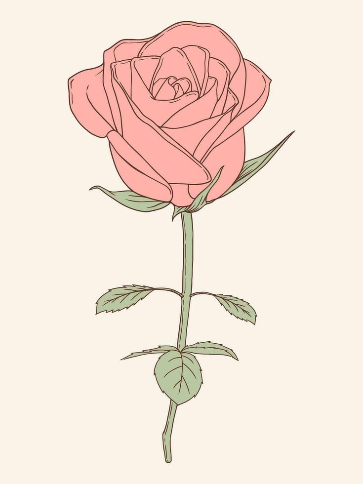 ancien minimaliste art style Rose fleur illustration vecteur