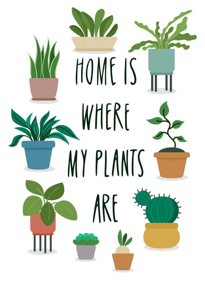 Accueil est où mon les plantes sont. affiche et salutation carte conception. ensemble de mignonne mis en pot plantes d'intérieur dans dessin animé plat style. vecteur