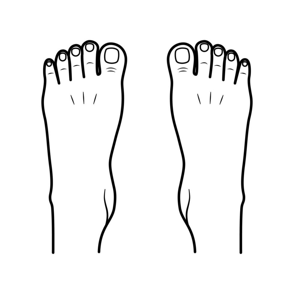 deux nu Humain pieds. Haut voir. pied jambes. vecteur plat contour icône illustration isolé sur blanc Contexte.