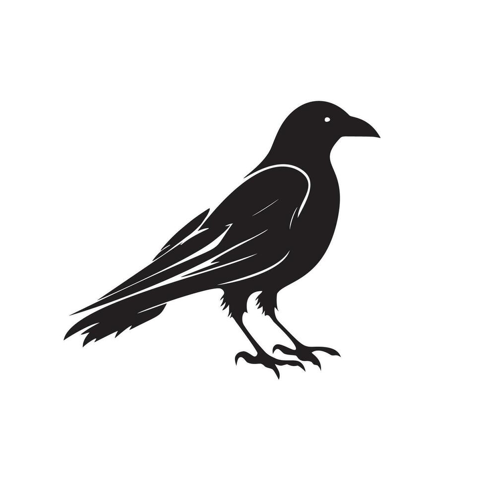 oiseau logo vecteur conception modèle dans isolé blanc Contexte