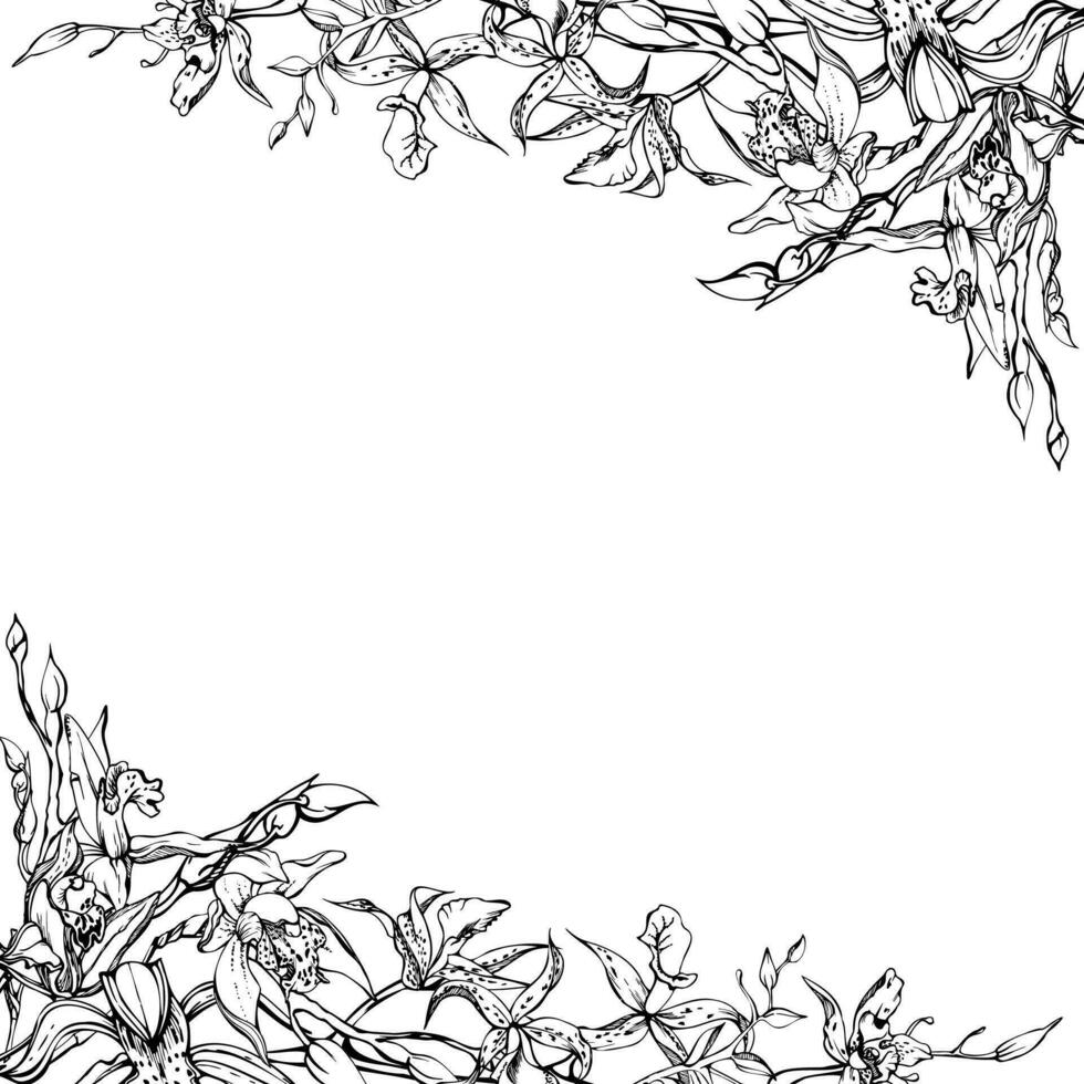 main tiré vecteur encre orchidée fleurs et branches, monochrome, détaillé contour. carré Cadre composition. isolé sur blanc Contexte. conception pour mur art, mariage, imprimer, tatouage, couverture, carte.