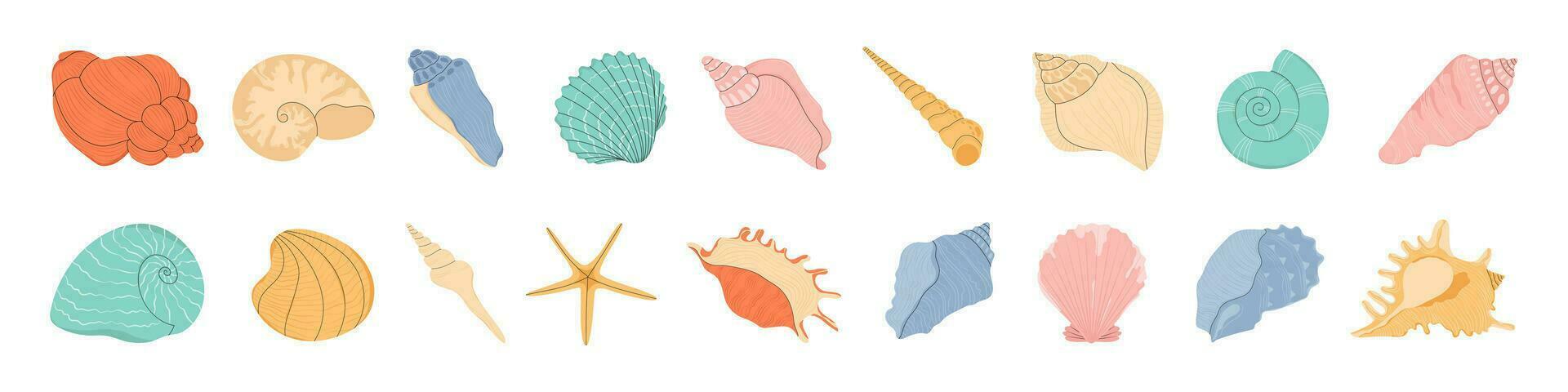 coquillage. isolé coquillages, huître et palourde. décoration plage mer océan éléments. dessin animé été Marin objets, saisonnier décent. vecteur Stock illustration, tout éléments isolé.