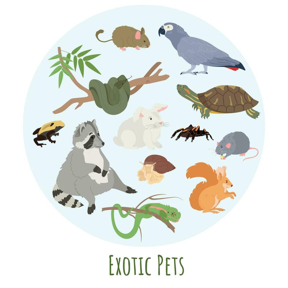 exotique animaux domestiques et faune concept vecteur