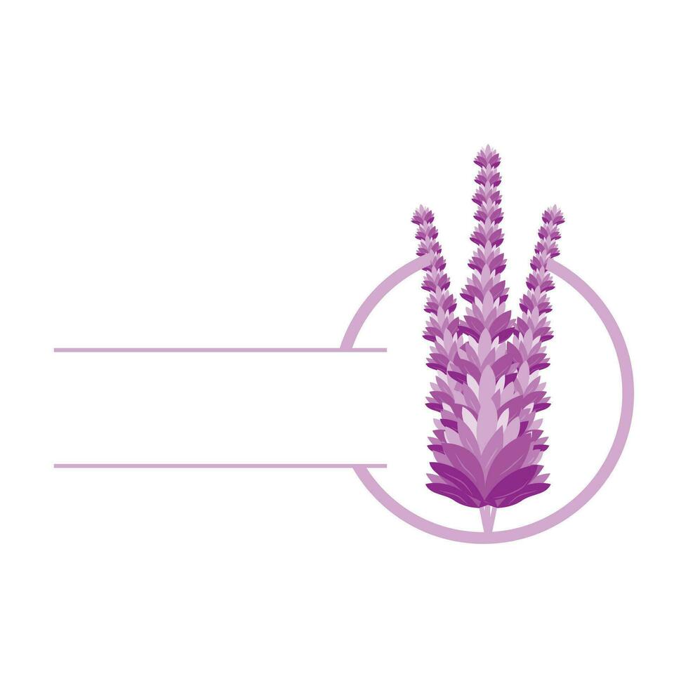 lavande logo, violet plante vecteur, jardin conception, illustration symbole modèle vecteur