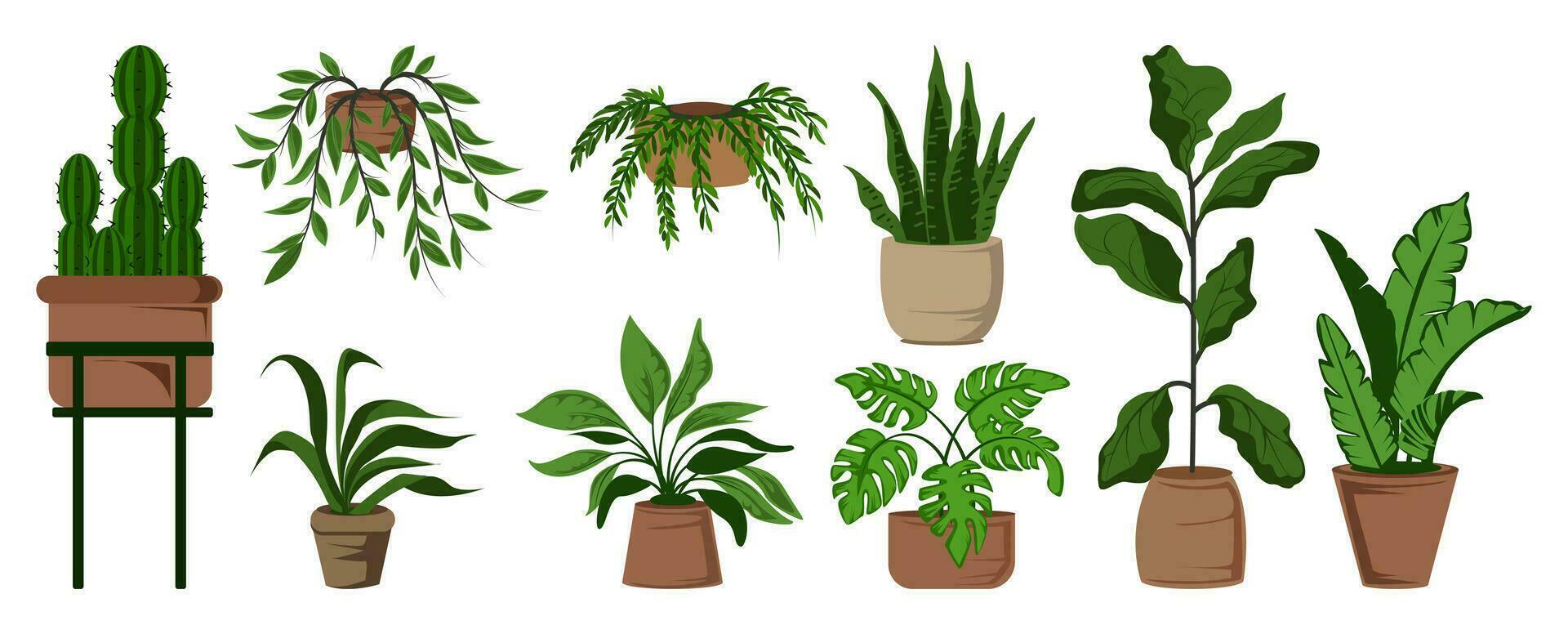 mis en pot feuille plantes d'intérieur ensemble vecteur illustration