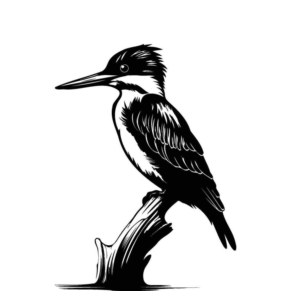 martin-pêcheur oiseau silhouette, martin-pêcheur oiseau mascotte logo, martin-pêcheur oiseau noir et blanc animal symbole conception, oiseau icône. vecteur