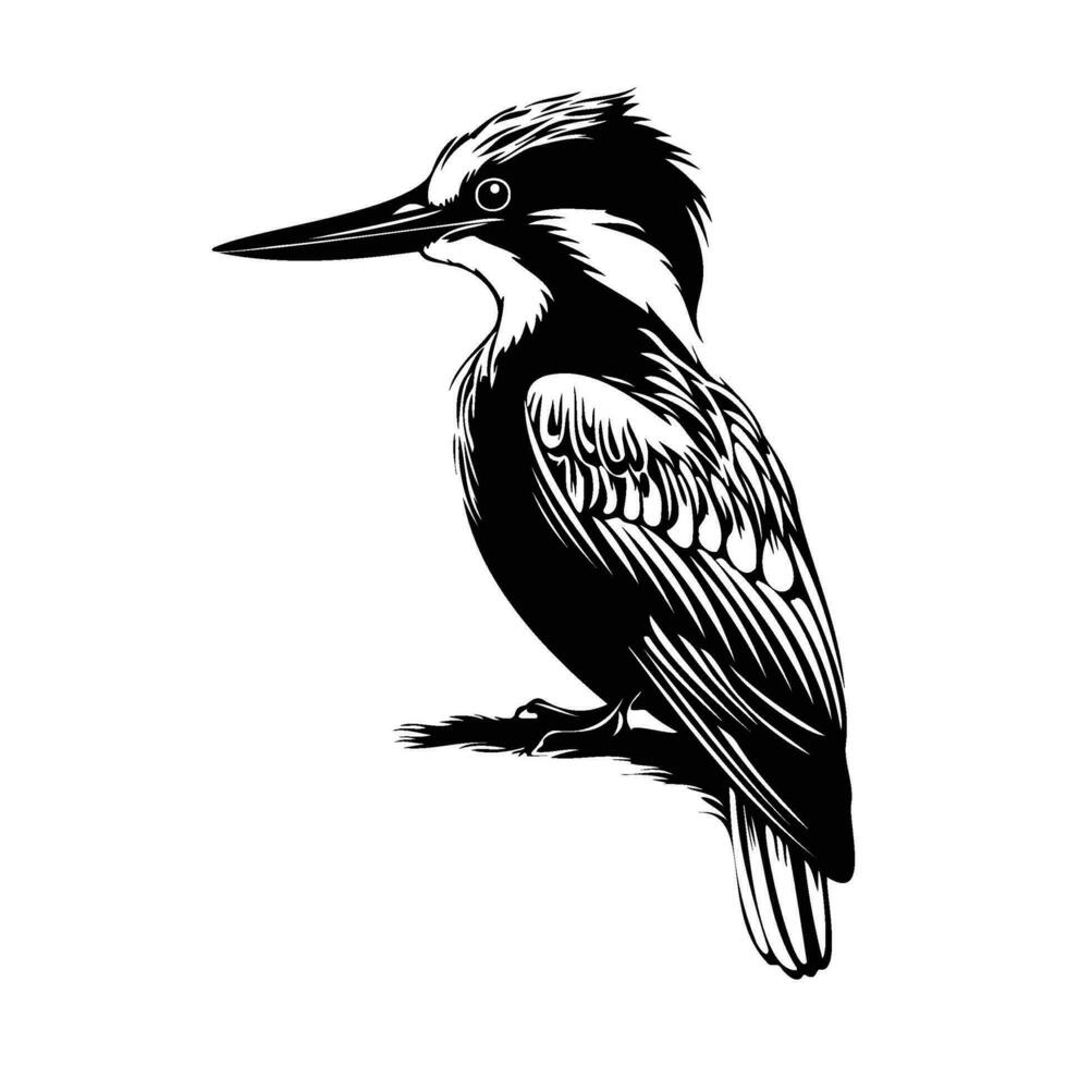 martin-pêcheur oiseau silhouette, martin-pêcheur oiseau mascotte logo, martin-pêcheur oiseau noir et blanc animal symbole conception, oiseau icône. vecteur