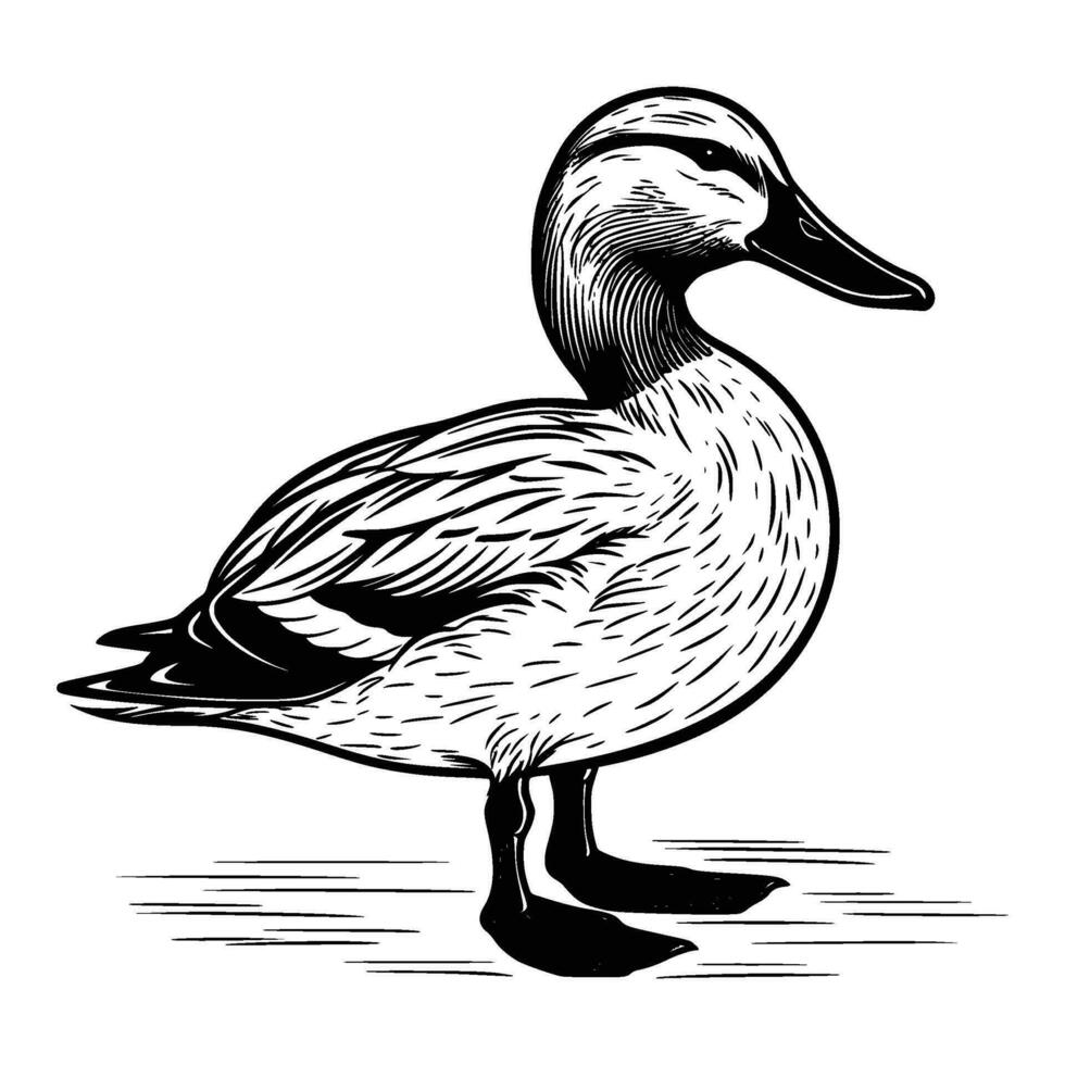 colvert silhouette, colvert mascotte logo, colvert noir et blanc animal symbole conception, oiseau icône. vecteur