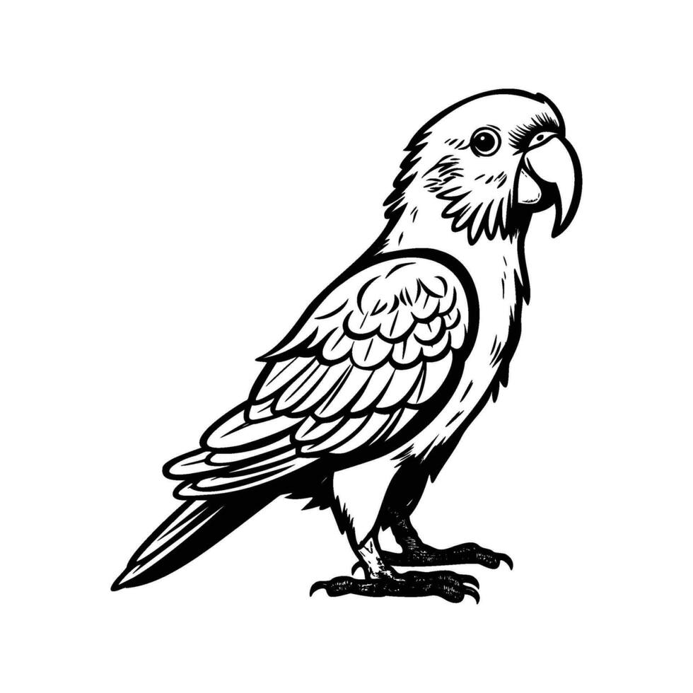 perroquets silhouette, perroquets mascotte logo, perroquets noir et blanc animal symbole conception, oiseau icône. vecteur