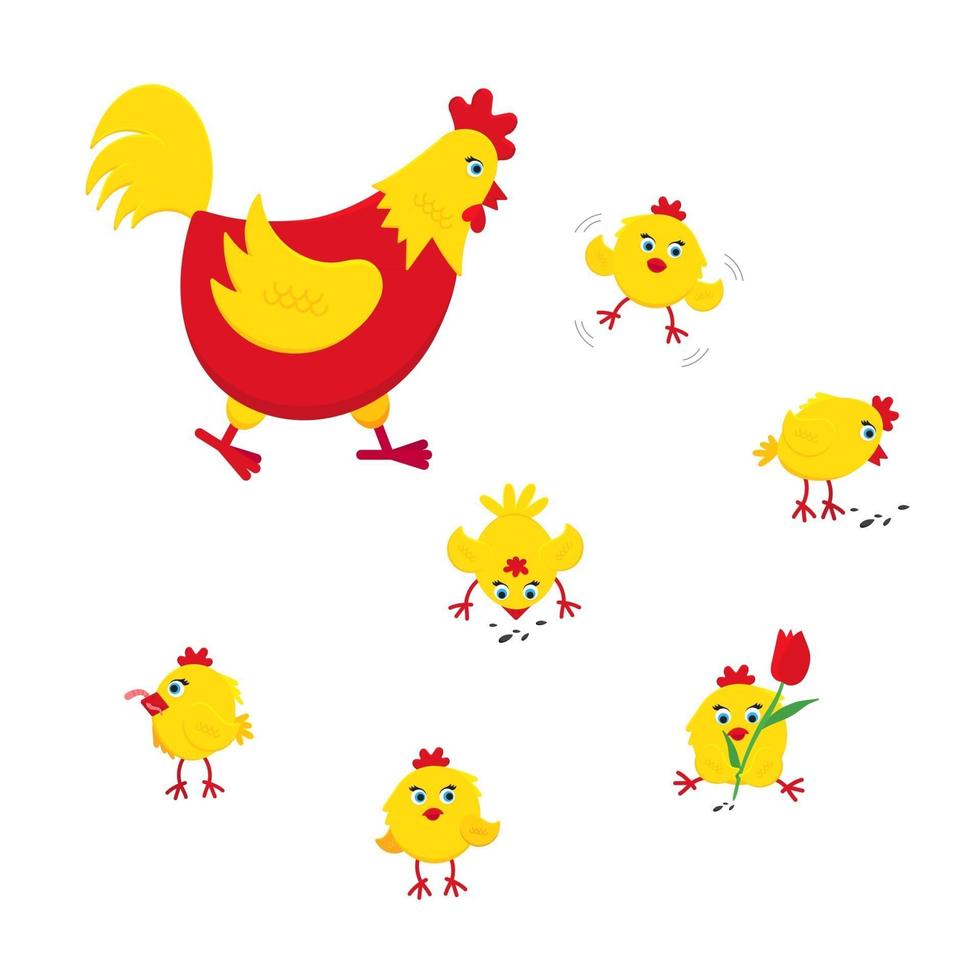 poulet jaune et rouge drôle mignons petits poussins bébés illustration vectorielle de style plat design. vecteur