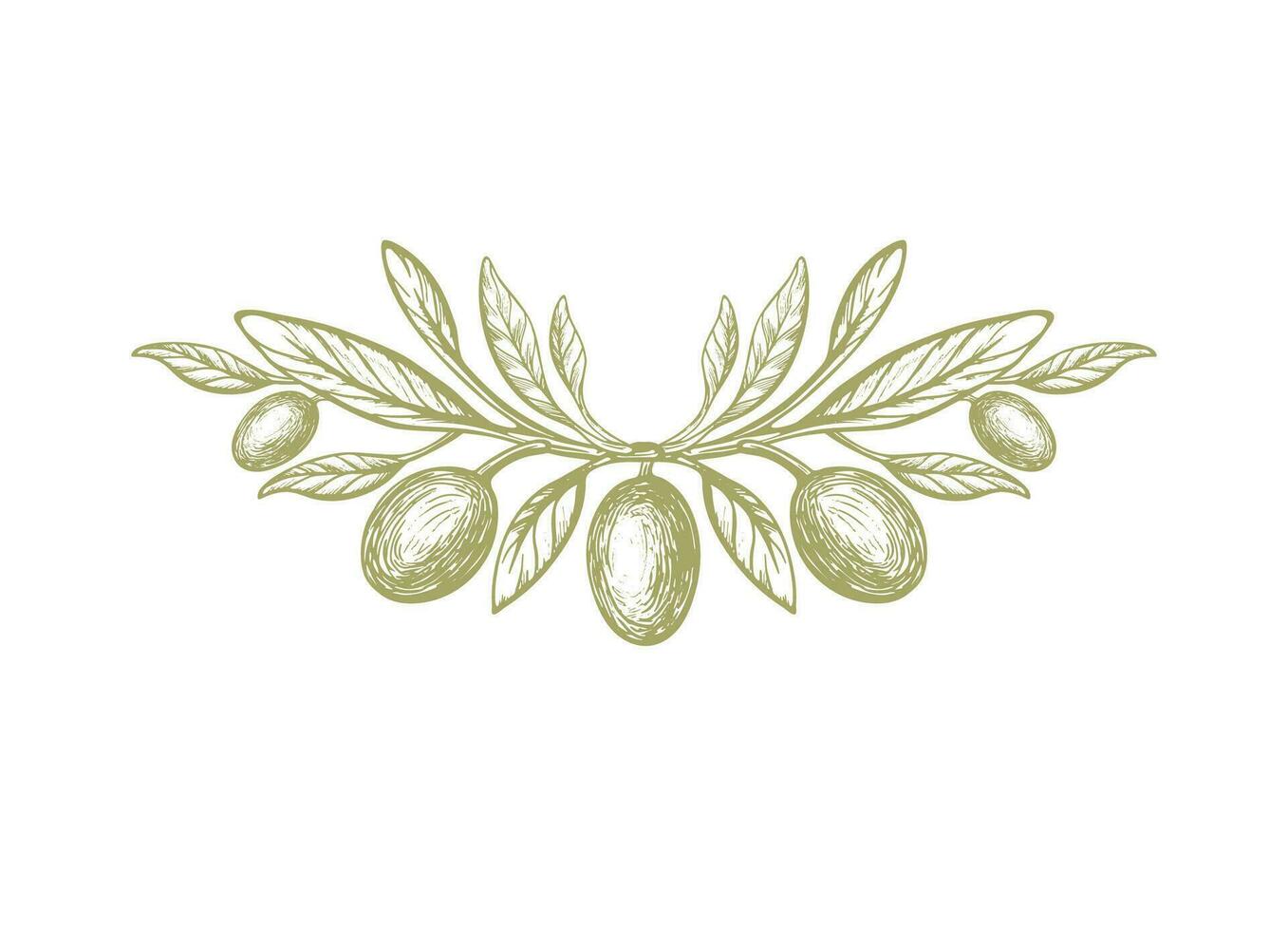 olive, rustique symbole. vecteur brindille, vert fruit