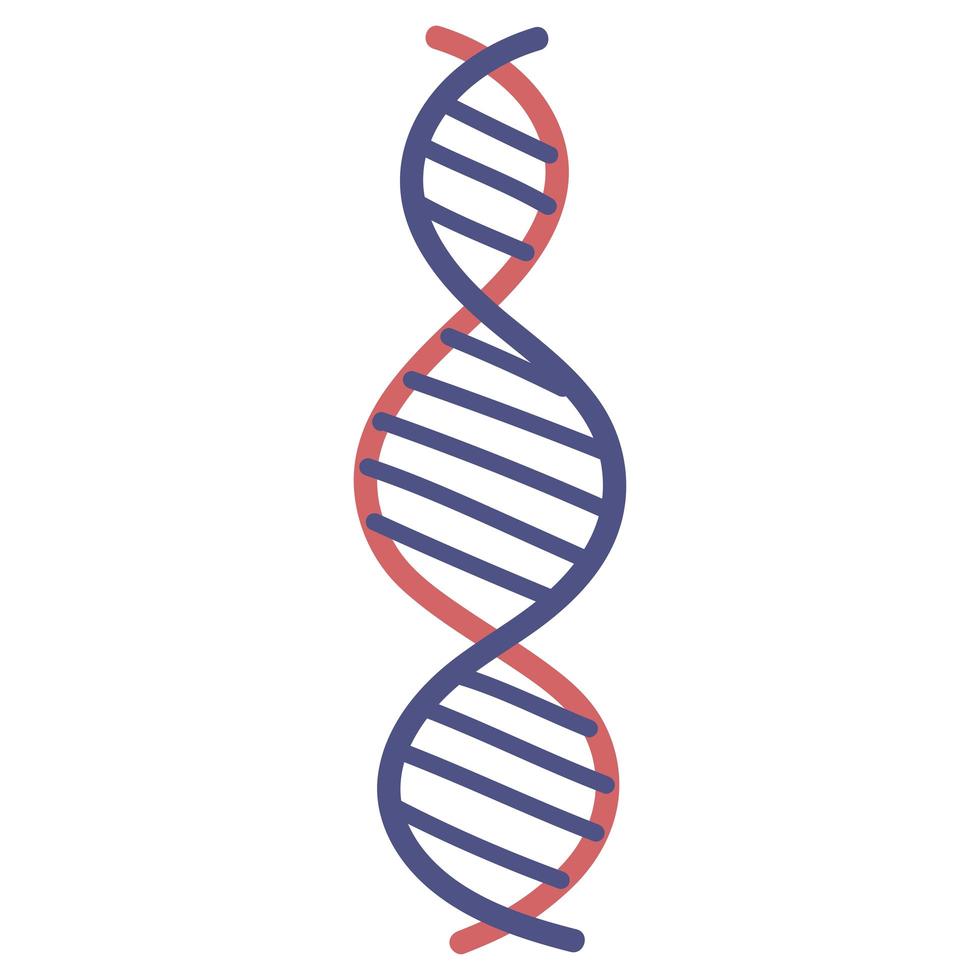 molécule d'ADN génétique vecteur