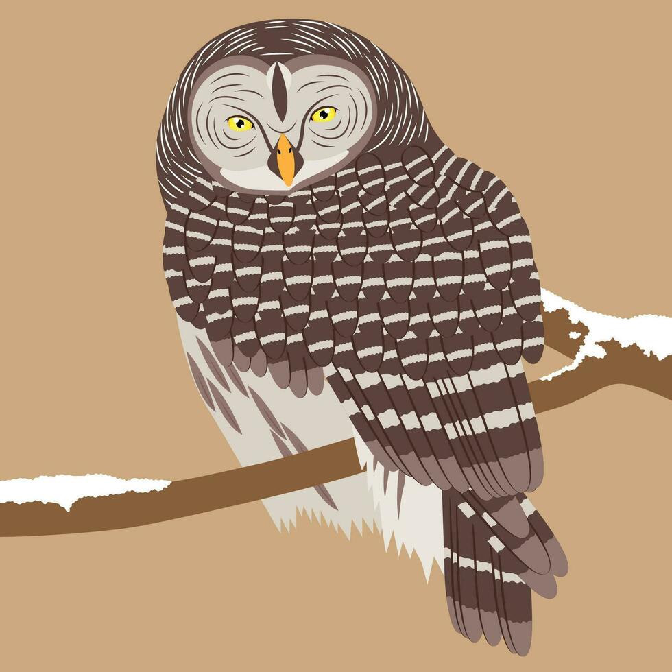 hibou plat illustration vecteur