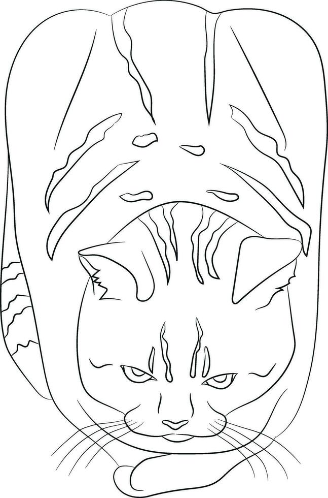main tiré tigré chat dans une pain pose isolé sur une blanc Contexte. mignonne chat regards comme une pain de une pain. vide noir contour ligne isolé sur blanc Contexte. vecteur illustration