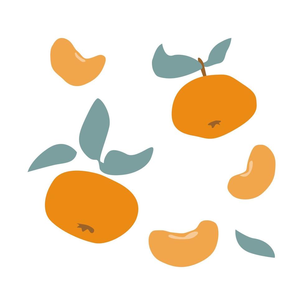 ensemble de fruits frais orange mandarine, clémentine, mandarine avec feuille verte dans un style de dessin à la main isolé sur fond blanc. illustration vectorielle à plat. conception de textiles, étiquettes, affiches, carte vecteur