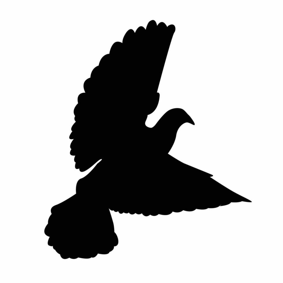 vecteur des oiseaux silhouettes