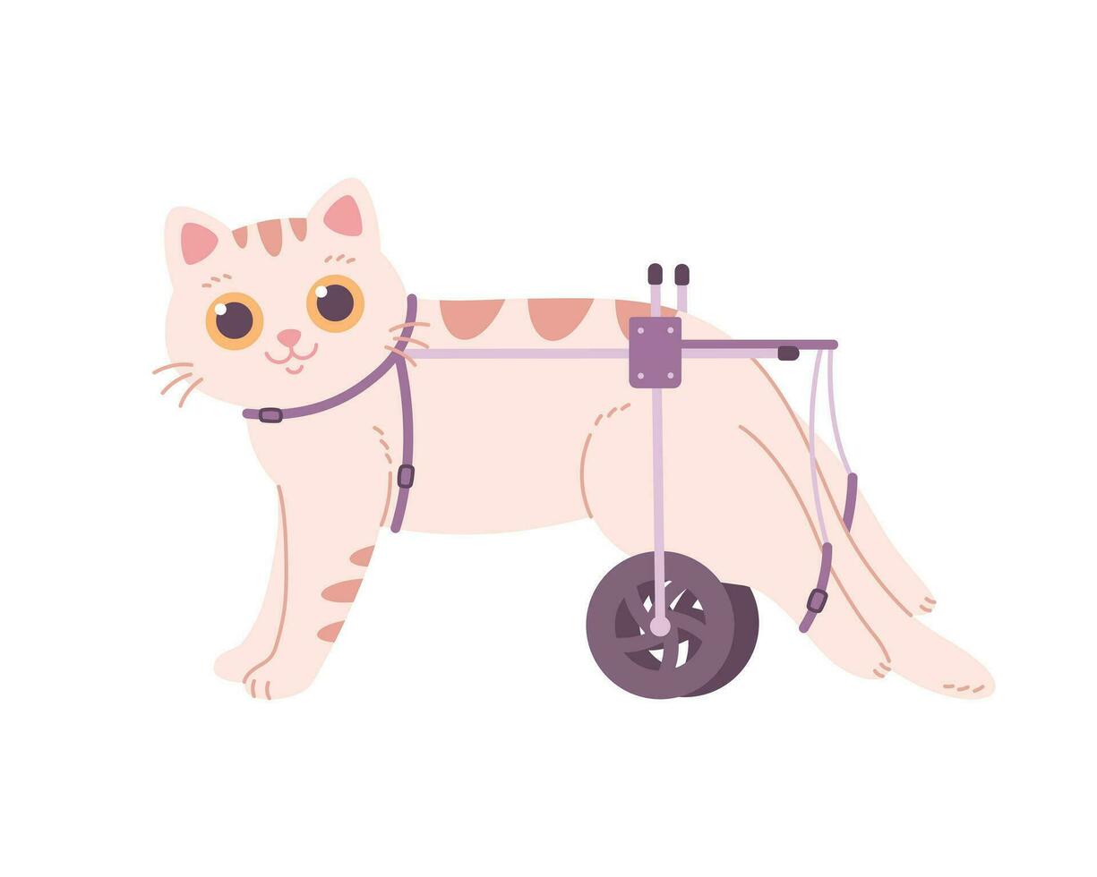 chat avec paralysé de derrière jambes. chat dans une fauteuil roulant, vétérinaire médecine, vétérinaire clinique, désactivée chat. vecteur