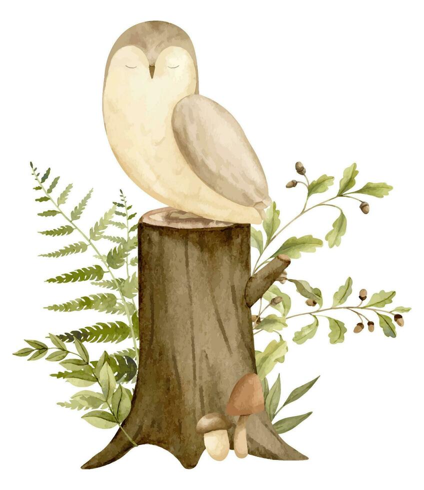 hibou avec les plantes et souche dans une forêt. main tiré aquarelle illustration de oiseau pour bébé douche sur blanc isolé Contexte. des bois mignonne animal pour puéril salutation cartes ou invitations vecteur