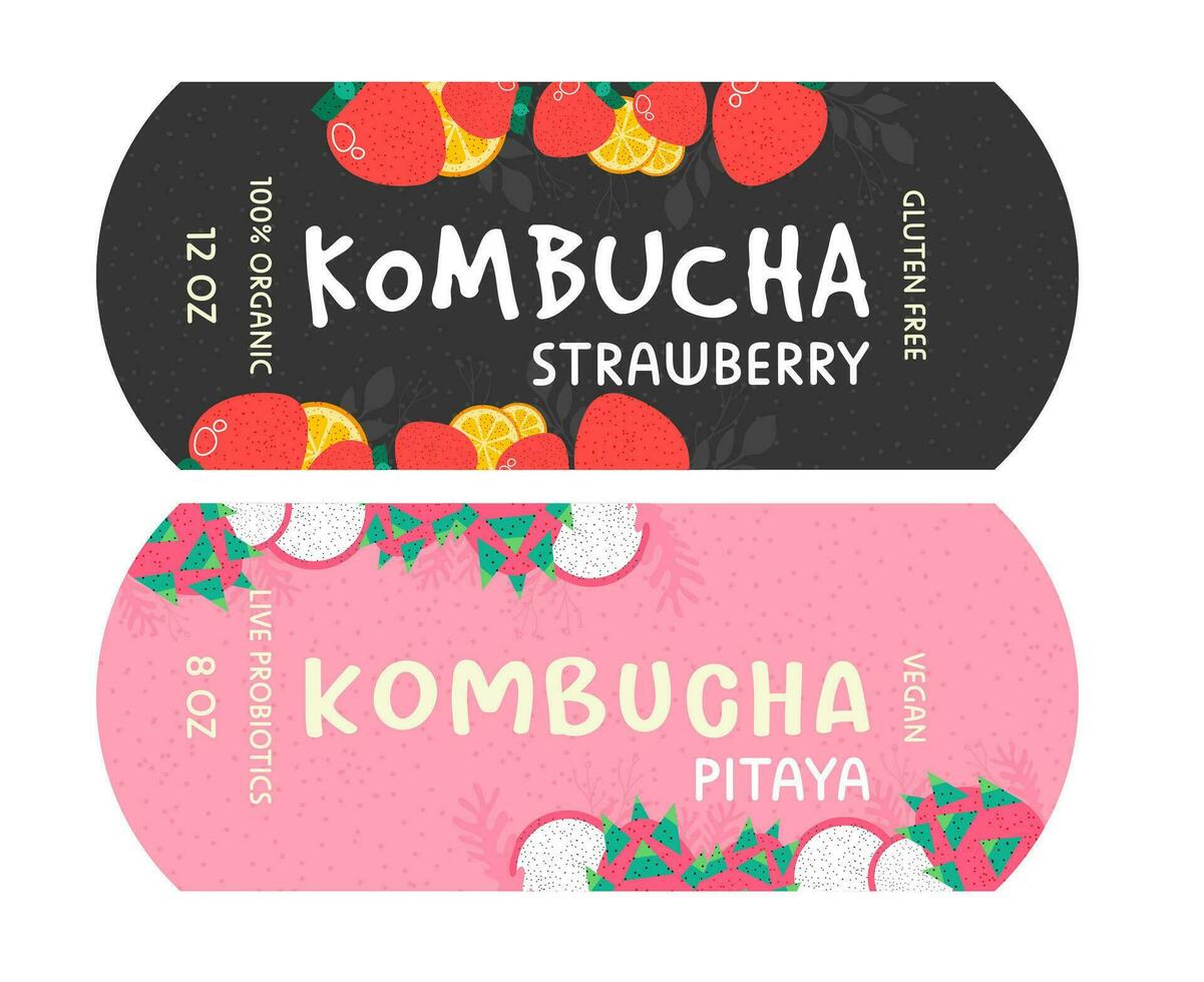 kombucha avec fraise et pitaya goût, paquet vecteur