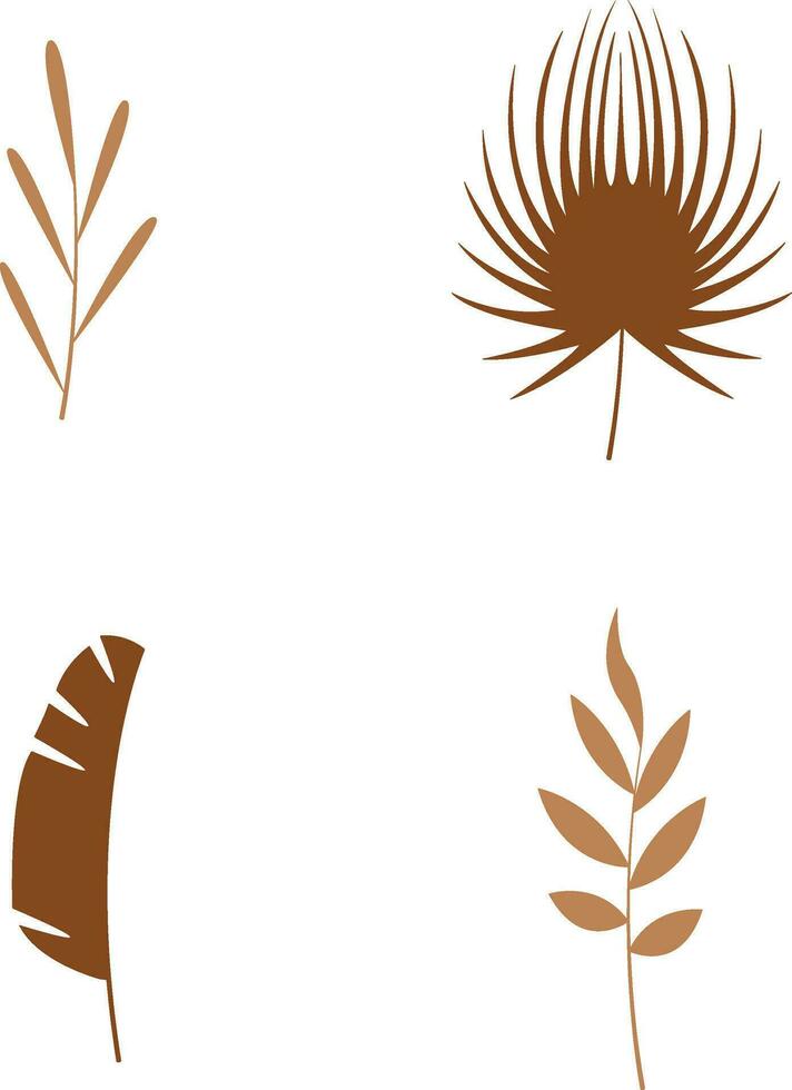 boho feuilles, branches, brindilles. collection de botanique Accueil mur art décor boho éléments isolé sur blanc Contexte. feuilles conception paquet vecteur