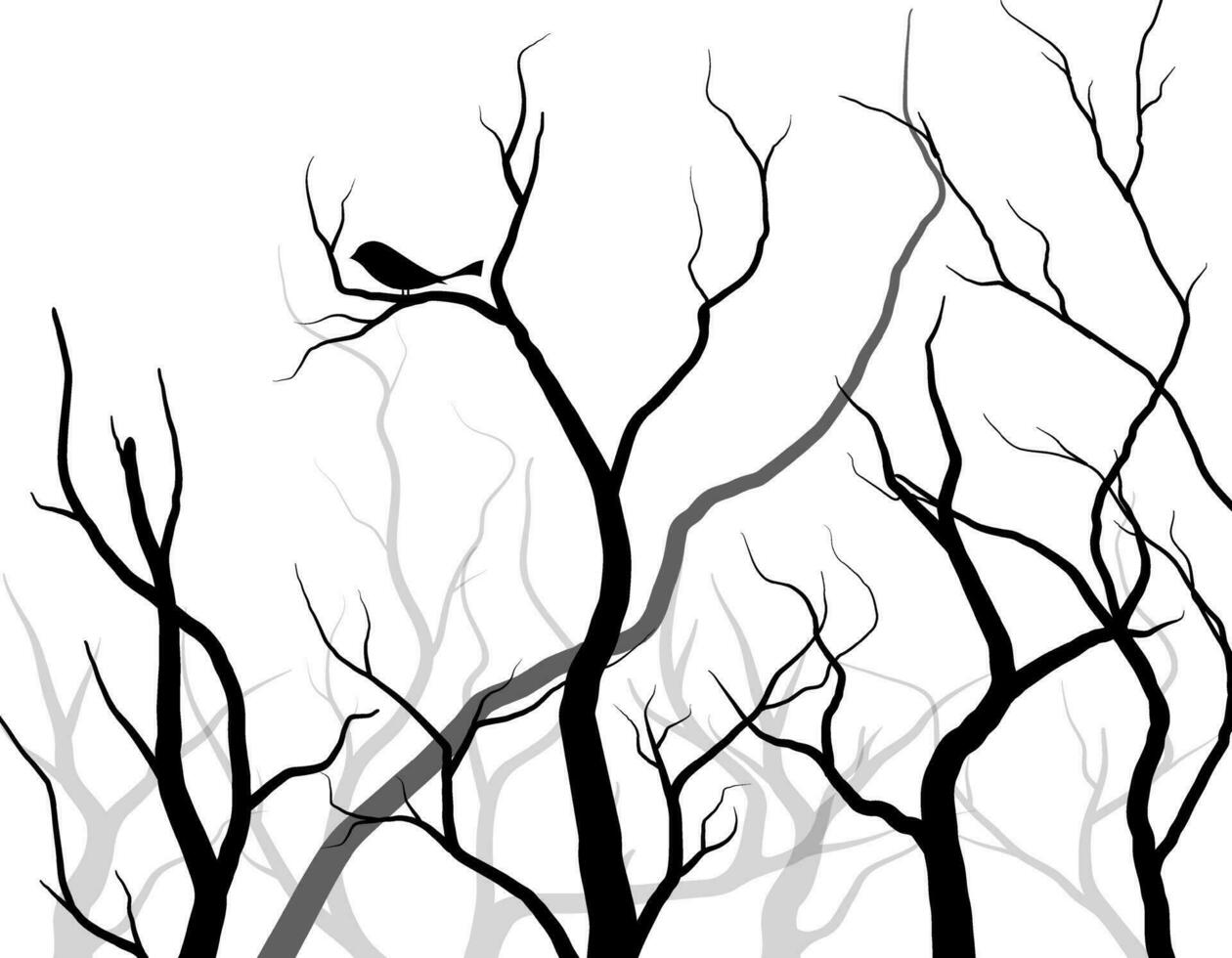 arbre de branche noire ou ensemble de silhouettes d'arbres nus. illustrations isolées dessinées à la main. vecteur