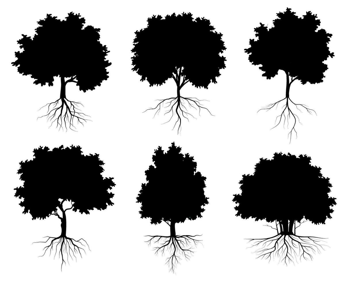 collection isolé arbre symbole silhouette style sur blanc Contexte. pouvez être utilisé pour votre travail. vecteur