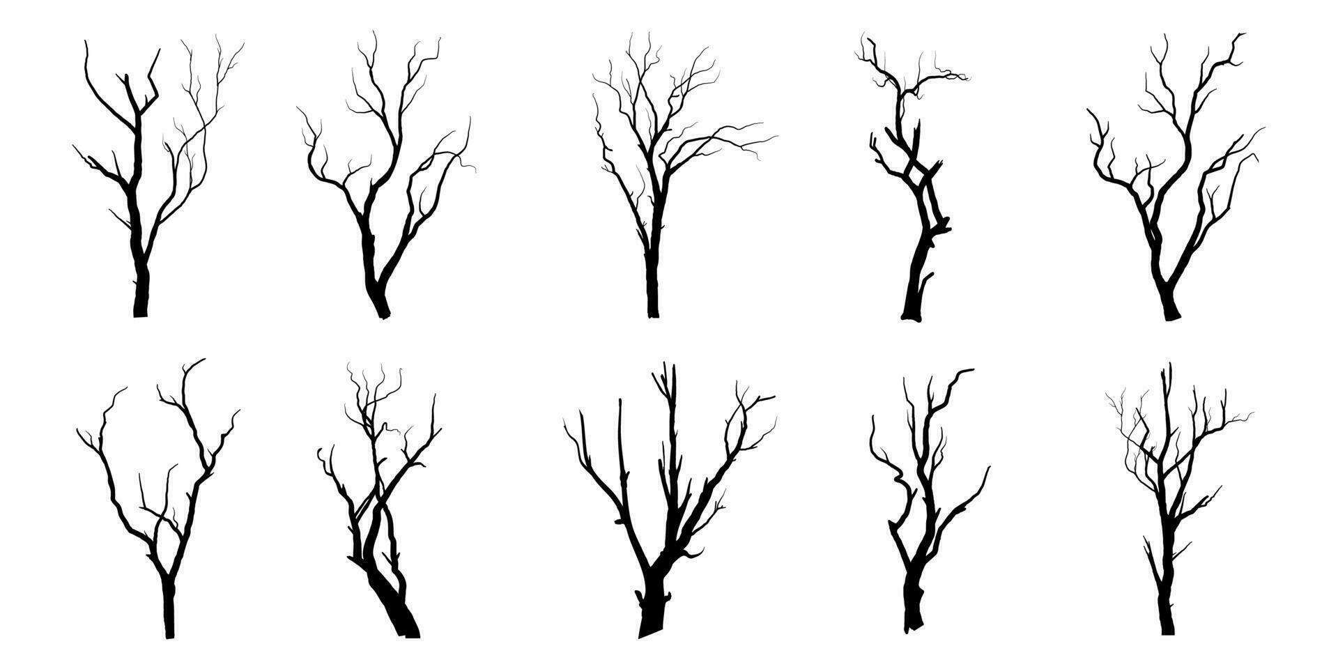 arbre de branche noire ou silhouettes d'arbres nus. illustrations isolées dessinées à la main. vecteur