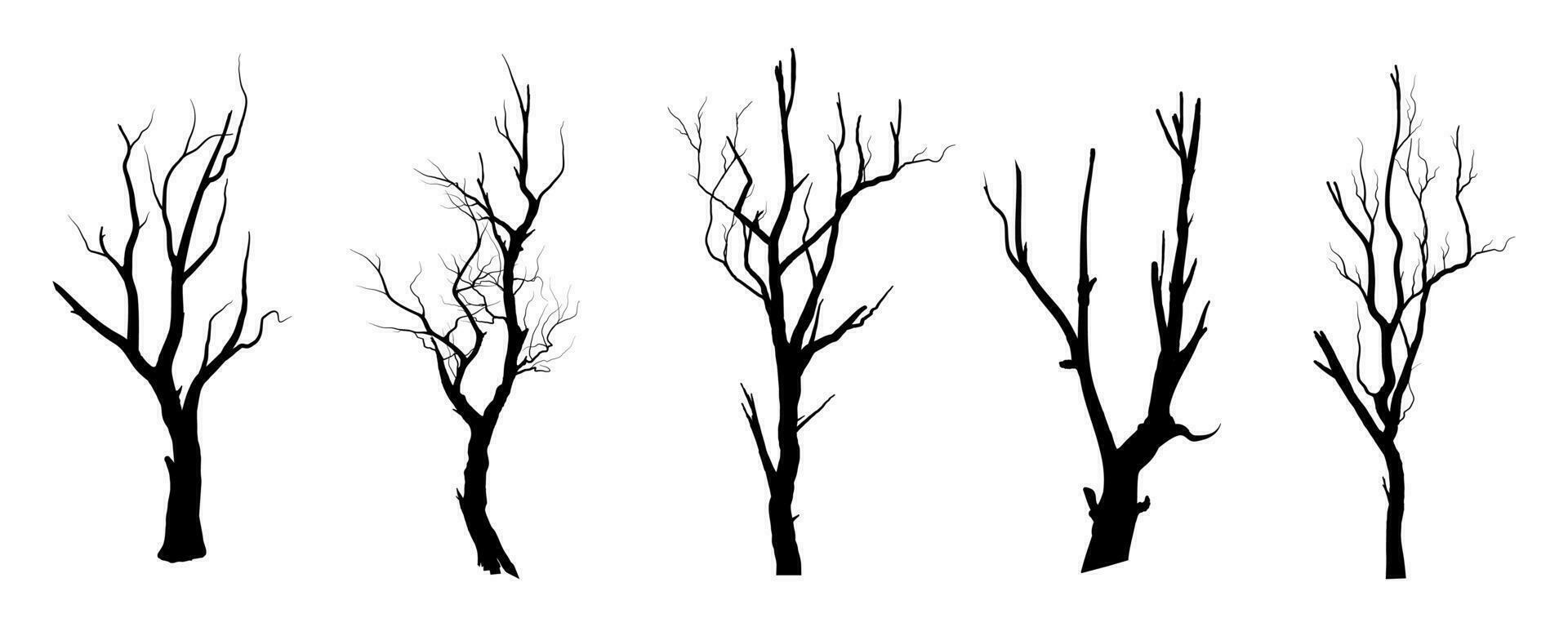 arbre de branche noire ou silhouettes d'arbres nus. illustrations isolées dessinées à la main. vecteur