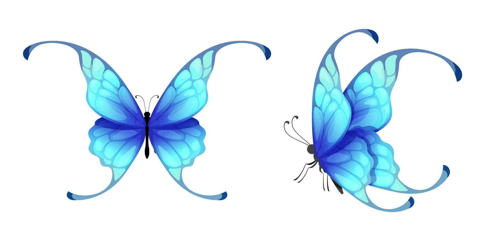 magnifique bleu papillons vecteur isolé sur blanc Contexte.