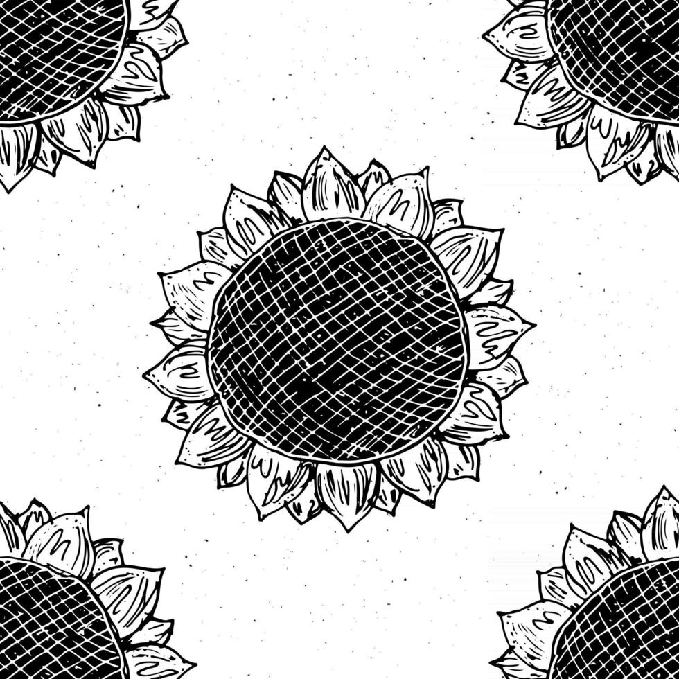 Croquis dessiné main modèle sans couture tournesol, arrière-plan, illustration vectorielle de typographie design vecteur