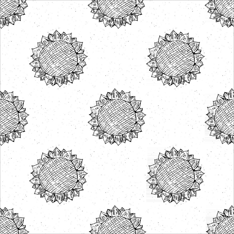 Croquis dessiné main modèle sans couture tournesol, arrière-plan, illustration vectorielle de typographie design vecteur