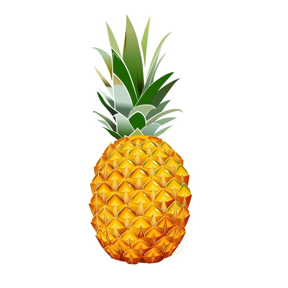 vecteur illustration de le Jaune mûr ananas des fruits