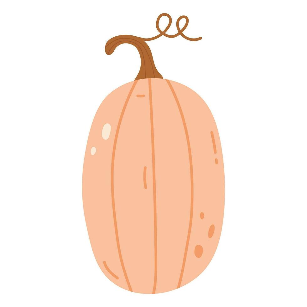 mignonne citrouille légume dessin animé illustration. Bonjour l'automne tomber saison. éléments pour l'automne décoratif conception, Halloween invitation, récolte action de grâces. main dessin plat vecteur illustration