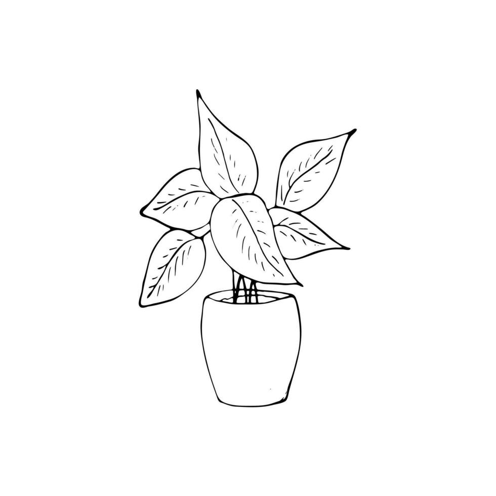 intérieur mis en pot plante isolé sur blanche. vecteur plante dans une pot, pot de fleur illustration.