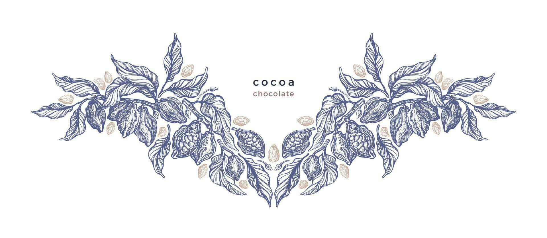 cacao haricots. vecteur illustration biologique Chocolat