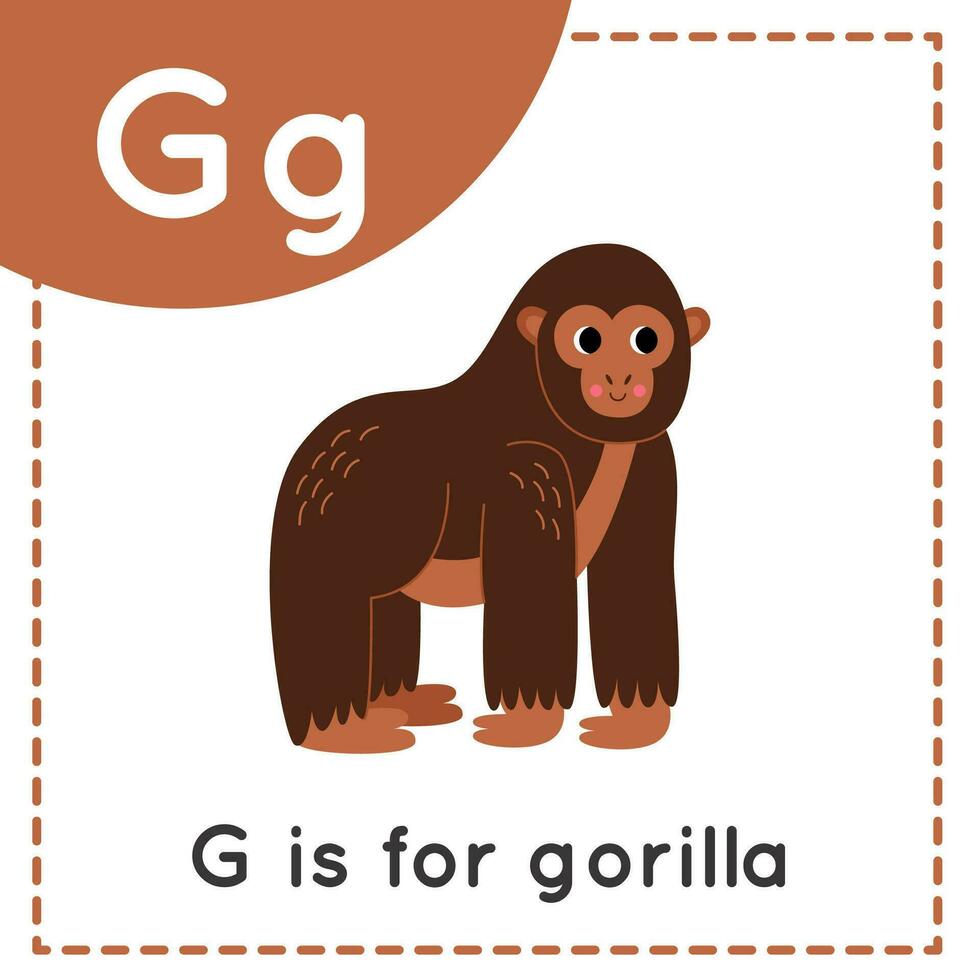 apprentissage Anglais alphabet pour enfants. lettre g. mignonne dessin animé gorille. vecteur