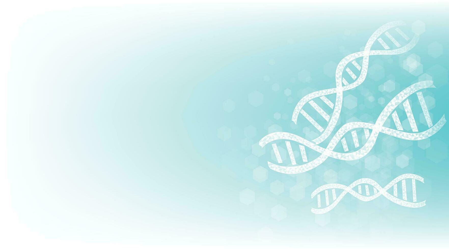 ADN double hélix sur blanc et bleu Contexte. vecteur